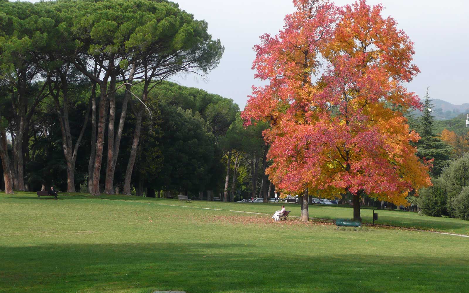 Momenti @ Montecatini Terme